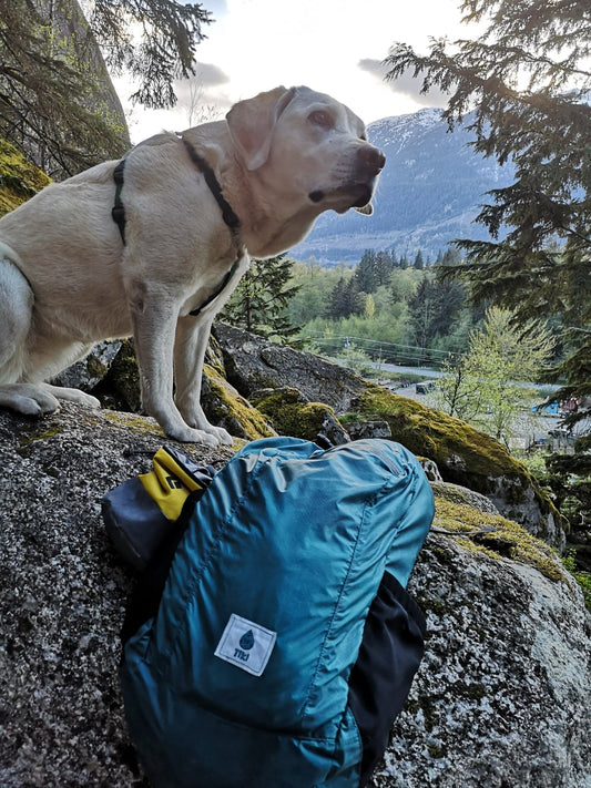 Sac à dos Compacte Hydrofuge